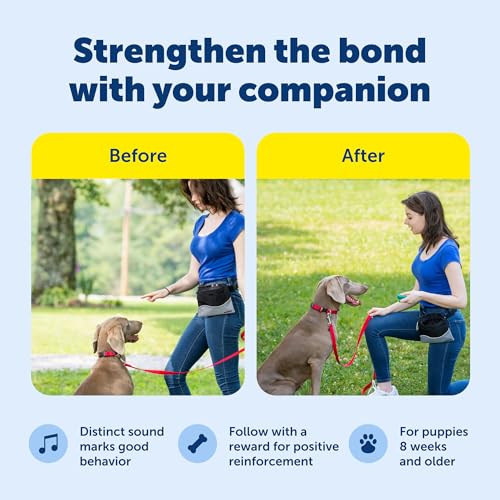 PetSafe Clik-R Dog Training Clicker, Blue - color: Blue