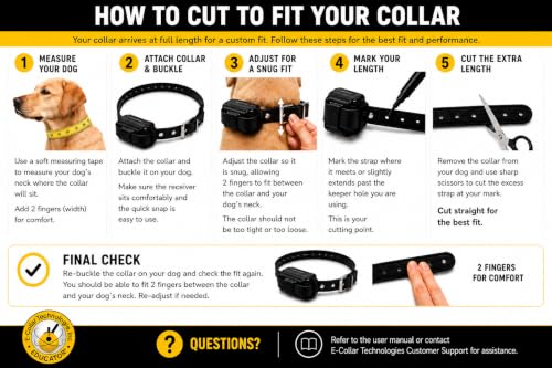 E-Collar Mini Educator ET-300 Remote Dog Training Collar, Teal - color: Teal, size: 1 Dog