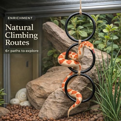 2PCS Snake Climbing Rings for Ball Python - Enrichment Toys for Corn Snake