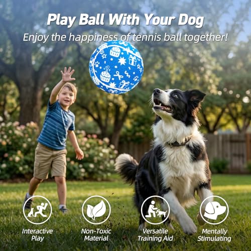 QDAN Dog Gifts, Puppy Dog Birthday Toys, Tennis Ball for Dogs, 9.5 Inch - color: Blue-gift