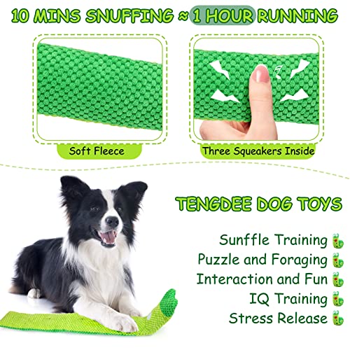 Letsmeet Squeaky Snuffle Dog Toy for Boredom Relief, Interactive Treat Puzzle Plush for Mental Stimulation & Foraging Training, Soft Chew Toy for Small Medium Dogs - style: Frog