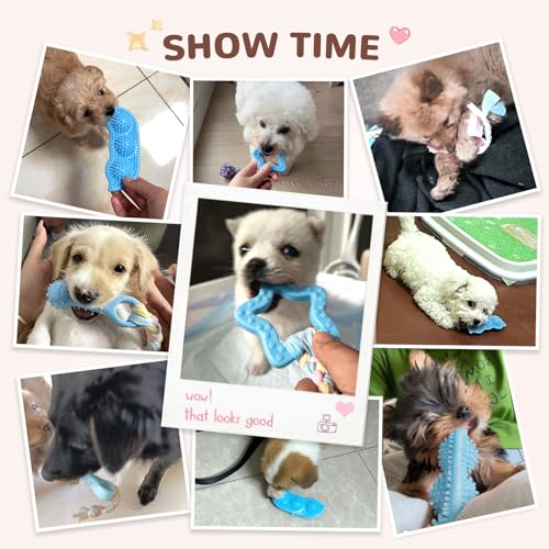 5 Pack Puppy Chew Toys for Small Dogs,Puppy Teething Toys for Small Puppies,Soft Rubber Dog Toys for Small Breed Interactive Chew Toys to Keep Them Busy (Blue) - color: Blue