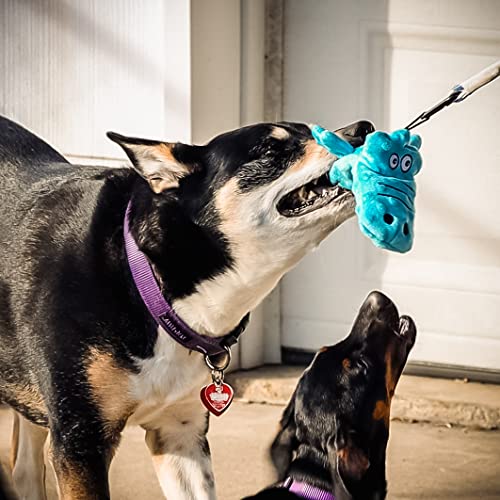 Pet Fit For Life Flirt Pole for Dogs - Extra Long 31" Dog Teaser Wand with Plush Alligator Squeaky Attachment | Promotes Animal Health & Fitness, Made w/Soft & Durable Materials | Gift - style: Alligator Wand (Attachment is Interchangeable)