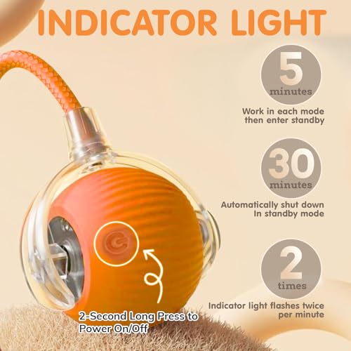 Rocfish Durable Interactive Cat Toys for Indoor Cats (Orange, 01) - color: Orange01, size: 01