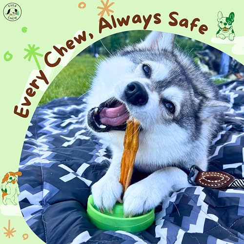 Bully Stick Holder for Dogs (SafetyChew, 1 Regular 6" Bully Stick, <16 lbs) - size: Small | Less Than 16 lbs