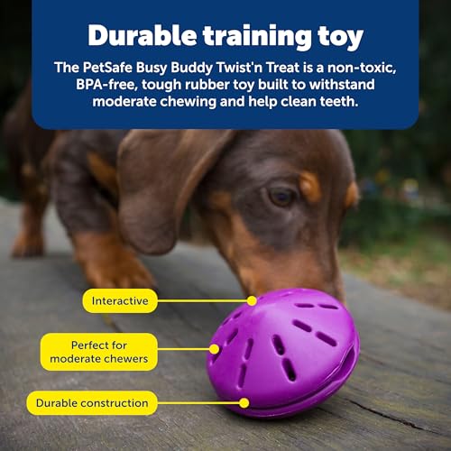 PetSafe Busy Buddy Twist 'n Treat Dispensing Dog Toy, Large - size: Large (Pack of 1)