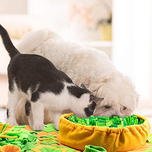 AWOOF Large Dog Snuffle Mat, Interactive Feeding Mat, 34.6 in x 19.6 in, Squeaker and Crinkle Paper, Non-Slip, Easy to Clean - color: C