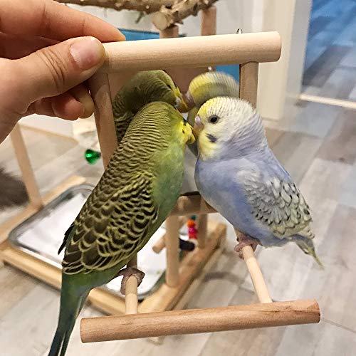 HANZE Bird Mirror Swing with Rattan Ball, Natural Wood Parrot - 2 Pack - color: 2 Pack