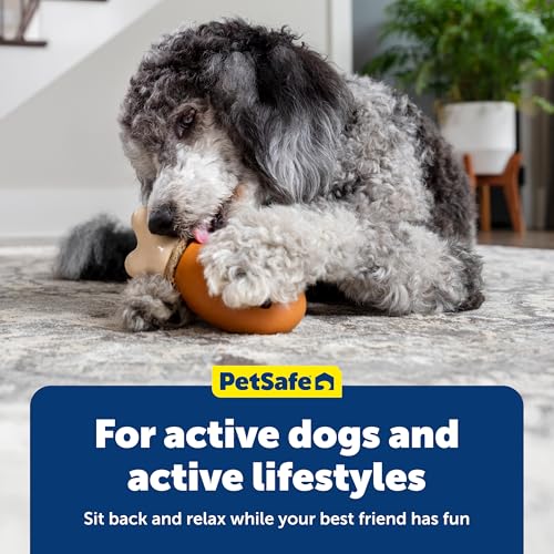 PetSafe Busy Buddy Chompin' Chicken Treat Holding Dog Toy, Small/Medium - size: Small/Medium