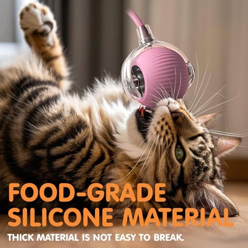 Rocfish Durable Interactive Cat Toys for Indoor Cats (Pink, 01) - color: pink01, size: 01