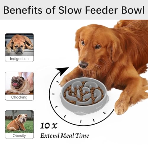 MateeyLife 1-Pack Slow Feeder Dog Bowls, 4 Cups, Dog Puzzle Feeder Bowl - color: I-Gray, size: Large