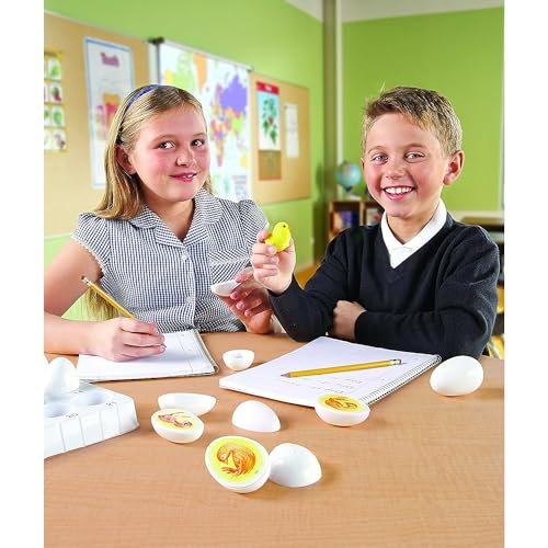 Learning Resources Chick Life Cycle Exploration Set