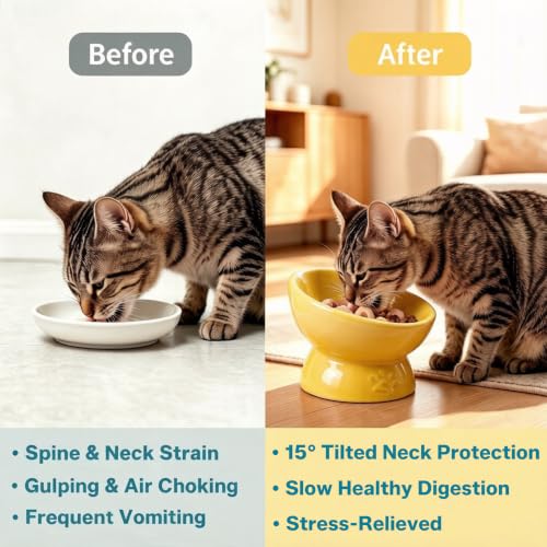 Ceramic Slow Feeder Cat Bowl, Elevated Tilted Design, Yellow - color: yellow