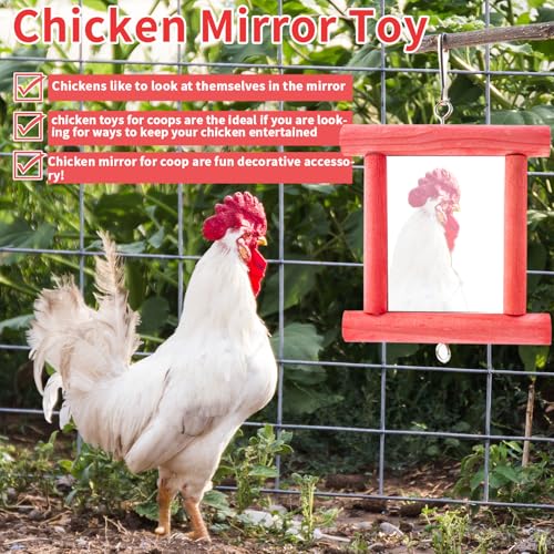 FlidRunest 4PCS Chicken Coop Toys Set, Hanging Chicken Wind Chime, Vegetable String Bag, Coop Mirror Toy and Beak Grinding Calcium Stone, Musical Enrichment Accessories for Hens Poultry Chick