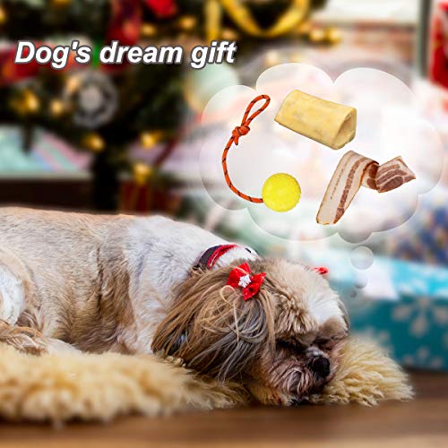 2 Pack Dog Ball, K9 Ball on Rope for Reward, Fetch, Play (7cm) - size: 2.75 in (Bright Color)