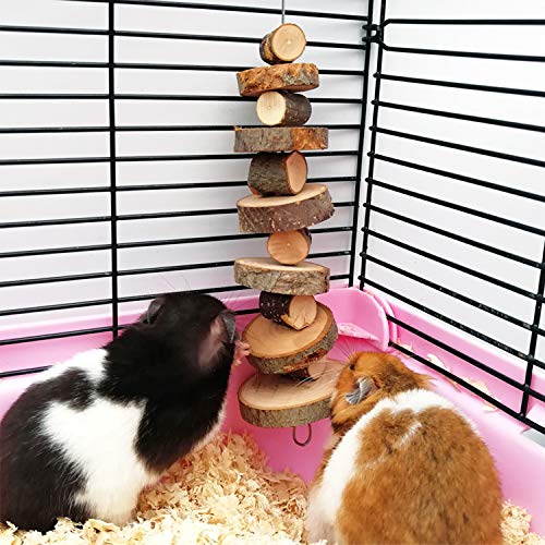 Small Animal Chews Toy Apple Wood Block Cage Hanging Molars Treats Snack