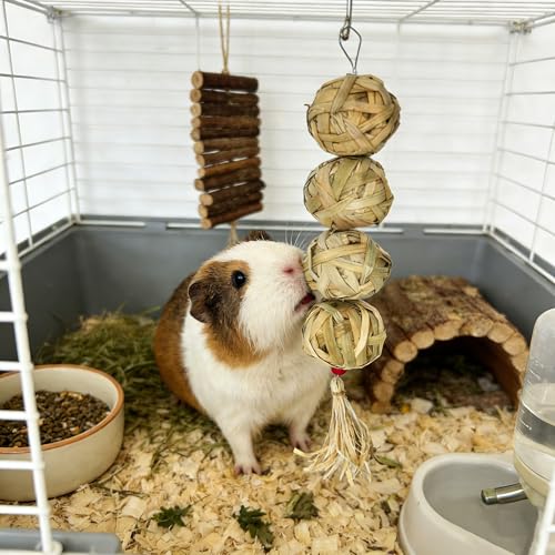 2Pcs Guinea Pig Chew Toys for Teeth Rabbit Grass Balls for Bunny Chinchilla - size: 2PCS(B)