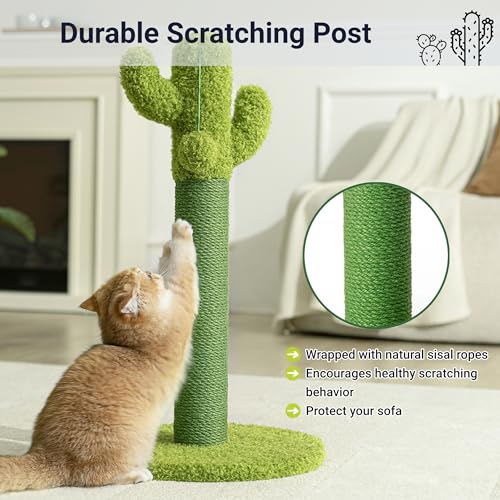 Happi N Pets Cactus Cat Tree, Cactus Cat Scratching Post with Toys - size: 24"