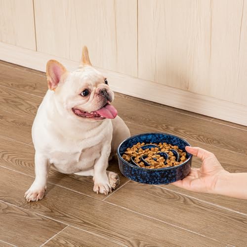 vancasso Slow Feeder Dog Bowl, 0.6 Cup Ceramic Puzzle Dish for Small Breeds - color: Blue, size: S - 0.6 Cups