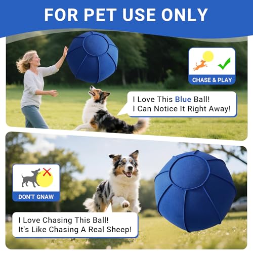 Dog Toy Ball for Dogs, Interactive Dog Training Toy for Medium Large Breeds Outdoor Play, Collies Exercise Agility (Blue,L)