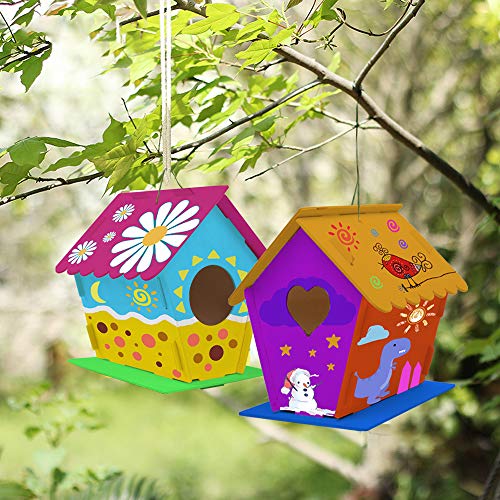 hapray 2 Pack Bird House Kits for Kids, DIY Birdhouse Kit Build and Paint - color: 2 Pack Bird House