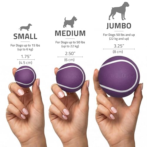 Playology Squeaky Chew Ball Dog Toy - Jumbo, Bacon Scent - size: Jumbo, style: Bacon