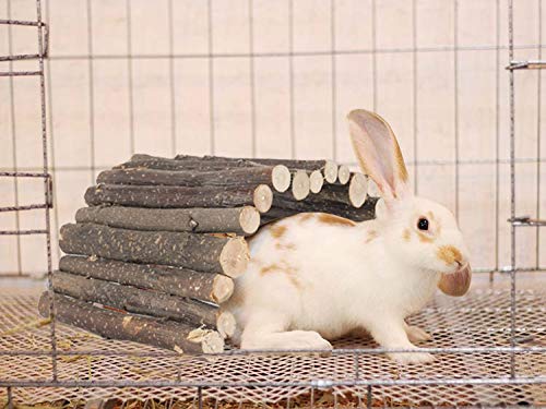 PINVNBY Guinea Pig Wooden Ladder Bridge (20 x 11.8 in) Rabbits Hideout, House, Tunnel, Rodents Chew Toys for Bunny, Chinchillas, Hedgehogs, Ferrets, Rat and Small Animals-Extra Large (Pack of 2) - size: 1 PCS, L ( 20 X 11.8 inches ) (Pack of 2)