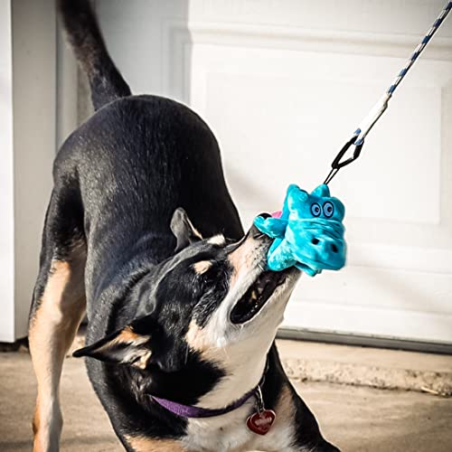 Pet Fit For Life Flirt Pole for Dogs - Extra Long 31" Dog Teaser Wand with Plush Alligator Squeaky Attachment | Promotes Animal Health & Fitness, Made w/Soft & Durable Materials | Gift - style: Alligator Wand (Attachment is Interchangeable)