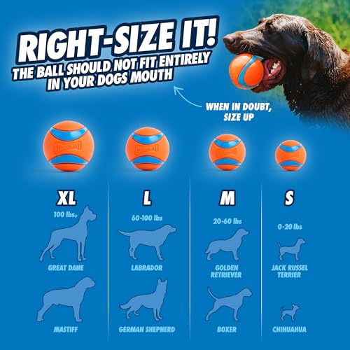 Chuckit! Ultra and Rugged Dog Balls, High-Bounce Fetch, Medium, Set of 3 - size: Medium (2.5"), style: Fetch Pack 2