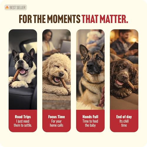 Natural Farm Odor-Free Bully Sticks (12”, 8oz) All-Natural Long-Lasting Chews, 100% Beef Pizzle, Grass-Fed, Grain-Free, Hormone-Free, Protein for Muscle Development & Energy, Perfect for Large Dogs - size: 12" Standard - 8 Ounce