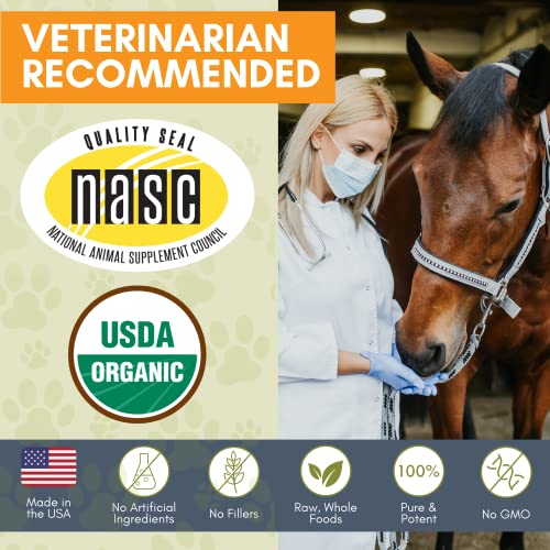 Horse Supplement for Total Body Health, 45 Day Supply for 1000 lb Horse