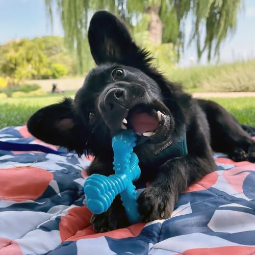 Nylabone Power Chew Comfort Hold X Bone Dog Chew Toy, Beef Flavor, Small - size: Small
