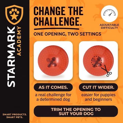 Starmark Everlasting Treat Bento Ball Chew Toy Medium for Dogs under 40 lbs - size: Medium