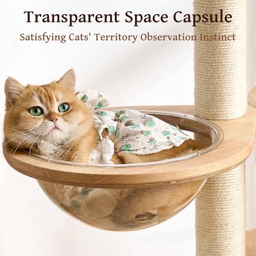Solid Wood Cat Tree Tower with Scratching Post, 67 Inches Tall Cat Towers with Capsule and Condo, Modern Cat Tower with Rotating Ball Toy and Removable Top Bed for Indoor Cats - color: 67 inch-Condo