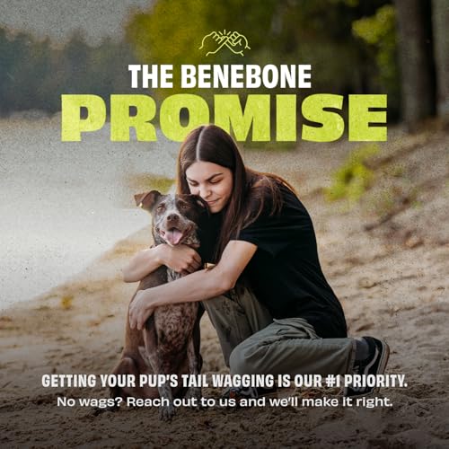 Benebone Natural Rubber Tug Interactive Dog Toy - size: One Size