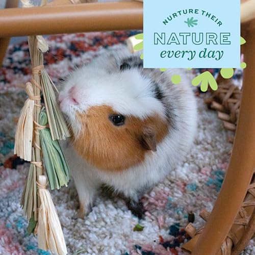 Oxbow Natural Dangly Party Pack, Rabbit & Guinea Pig Toys, Enrichment - style: Dangly Pack