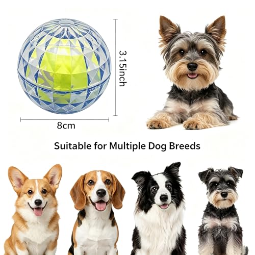 Squeaky Dog Balls 3-Pack, Ball-in-Ball Design with Inner Tennis Ball, Squeeze-to-Squeak TPR Chew Toys, High-Bounce Floating Fetch Balls for Pool Beach Training, Easy-Clean Puppy Teething Toy