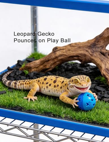 10-Pack Bearded Dragon Toys for Small Reptile Cage Enrichment