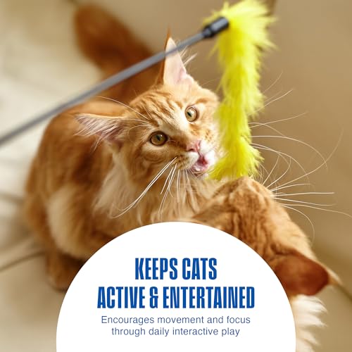 Penn-Plax Play Fur Mice Cat Toys - 12 Pack - Exercise & Hunting - Black