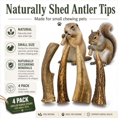 WhiteTail Naturals Small Animal Antler Chews, 4 Pack Gnaw Stick Toys