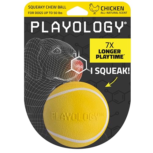 Playology Squeaky Chew Ball Dog Toy - Medium, Chicken Scent - size: Medium, style: Chicken