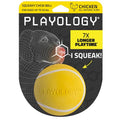 Playology Squeaky Chew Ball Dog Toy - Medium, Chicken Scent - size: Medium, style: Chicken