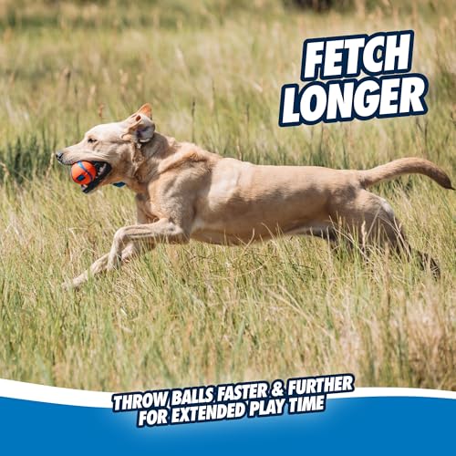Chuckit! Ultra Tug Dog Toy, Medium, Fetch & Tug Ball for Dogs 20-60 Pounds - size: Medium, style: Ultra Tug
