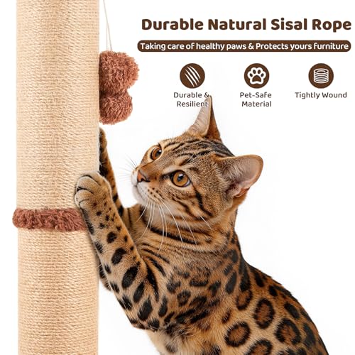 【Material Upgrade】 Famifit 53.6" Palm Tree Cat Scratching Post, Tall Tree - color: Brown