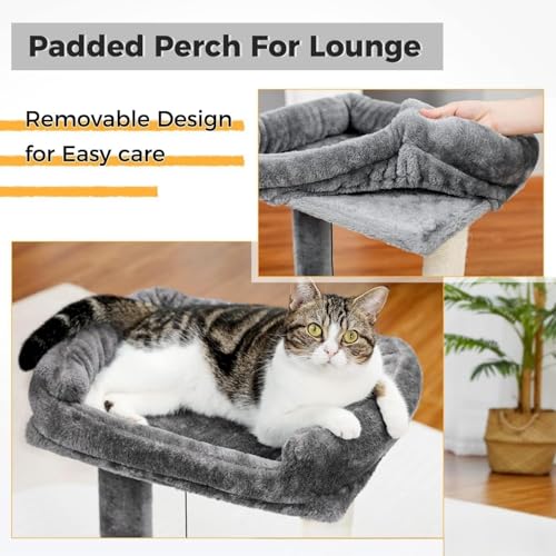 Cat Scratching Post, 19.69" H(50cm) Cat Tree with Cat Bed, Scratching Posts for Indoor Cats with Two Plush Balls Toy, Small Cat Tree for Kittens/Cats Playing and Relaxing (20 in Grey Cat Tree) - size: 20 in