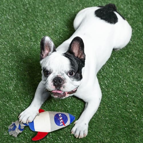 Pets First NASA Rocket Rope Dog Toy, Rocketship Toy for Dogs and Cats with NASA Logo and Design - style: Rocket Rope Toy