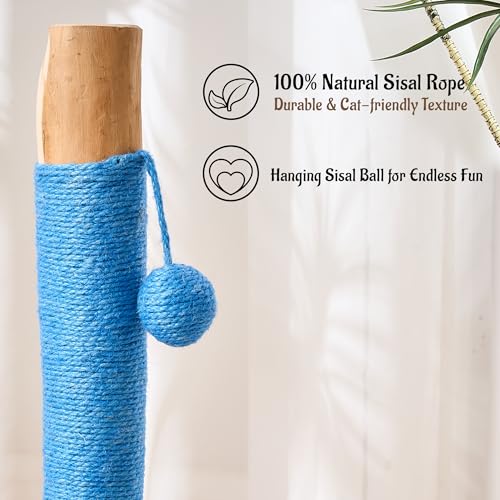 29" Tall Solid Wood Cat Scratching Post for Indoor Cats, Extra Stable Heavy Base, Natural Sisal Scratcher with Hanging Ball, Furniture Protector for Kittens & Adult Cats, Blue - color: Blue