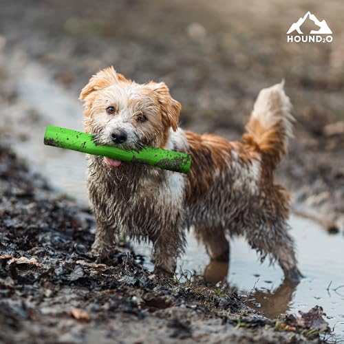 Playology Hound2O Fetch Stick Dog Toy - Outdoor Dog Toy - Green - color: Green
