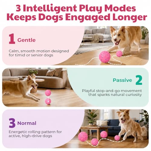 Interactive Dog Ball for Medium & Large Dogs, Automatic Moving Dog Toy with Motion Activation, USB Rechargeable Self Rolling Ball for Boredom Relief, Indoor Exercise & Independent Play