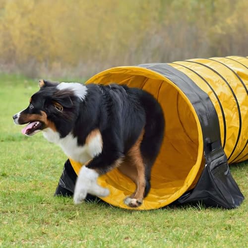 24 in 10 Foot PVC Dog Agility Tunnel with Sandbags Yellow - color: Yellow, size: 24in X 10ft